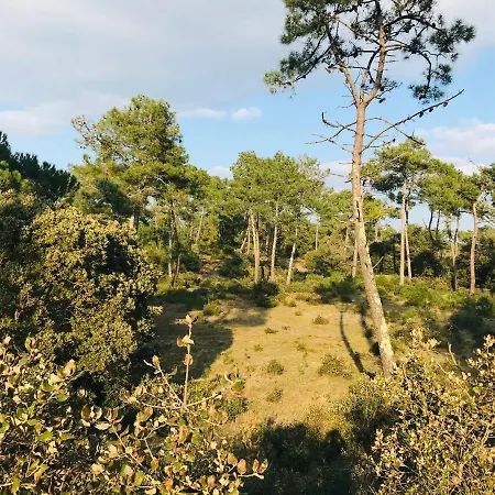 Le Ros Eden Apartmán